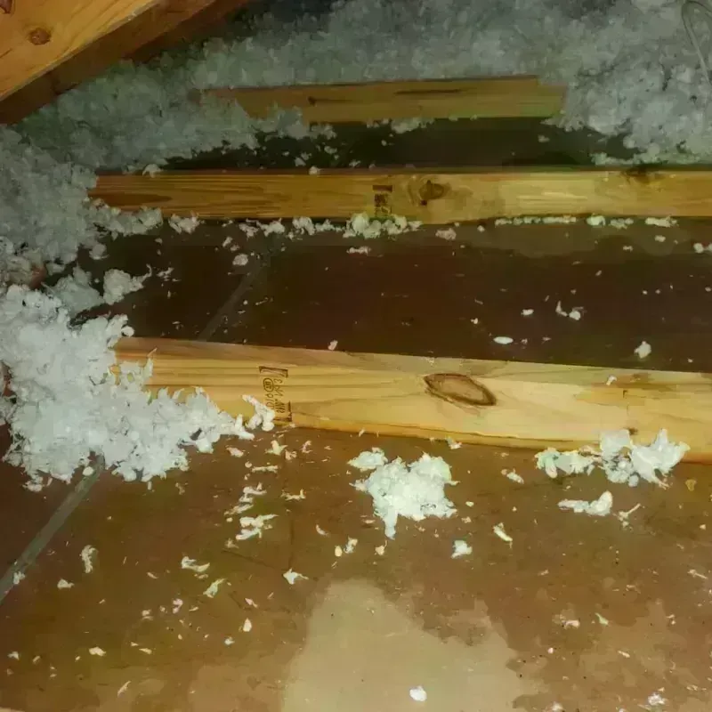 Attic Water Damage in Bellevue, WA