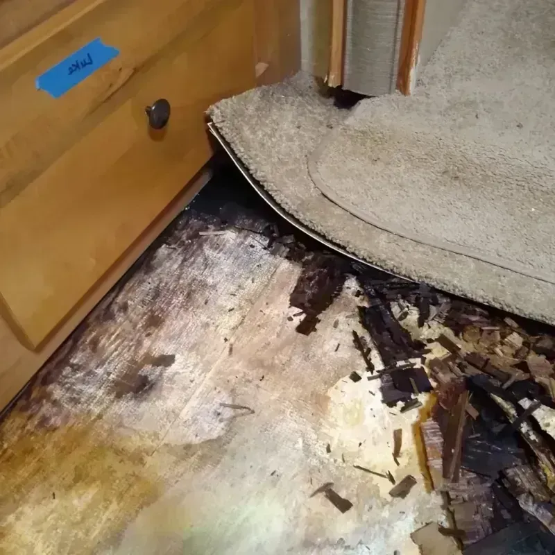 Wood Floor Water Damage in Bellevue, WA